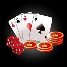 556win